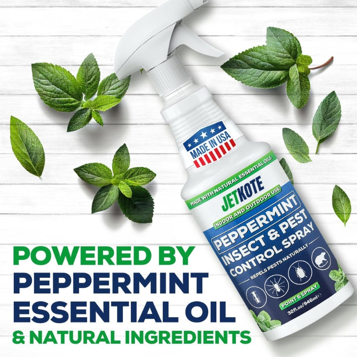 Peppermint Oil Spray